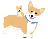 CORGIS Logo