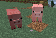 Gender in Pigs